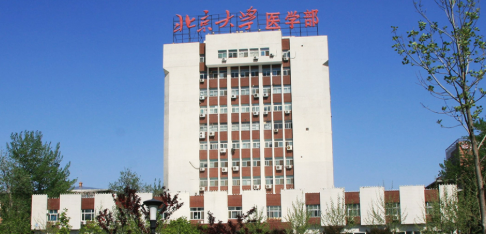 Sash Overseas Advisers: Study Abroad Consultants in Pakistan Study Abroad Consultants in Lahore